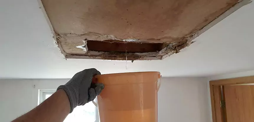 Ceiling Mold Repair Leawood
