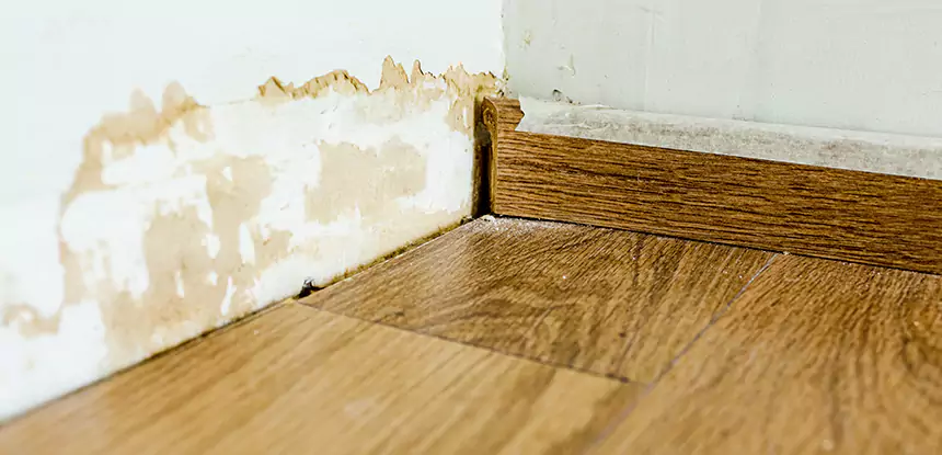 Professional Fix Water Damaged Wood Services in Leawood, KS